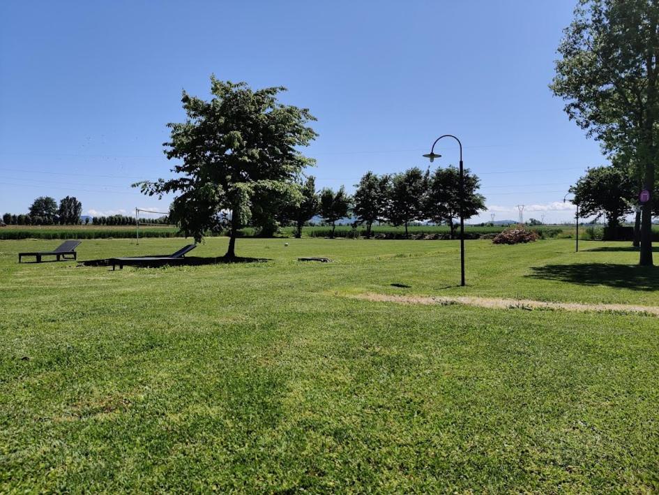 Agriturismo La Sophora Montegaldella Eksteriør bilde