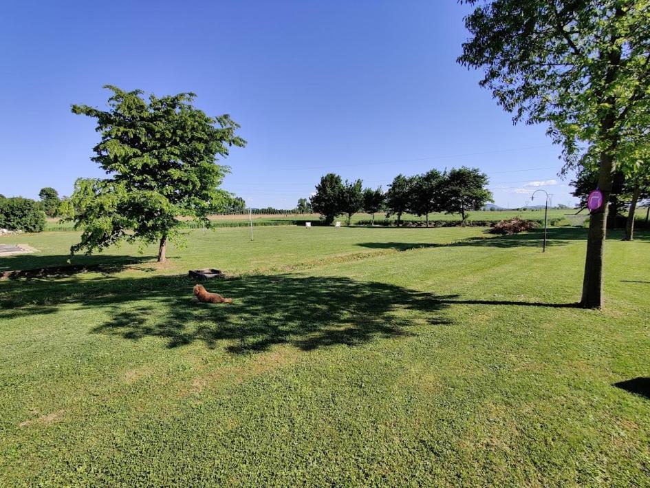 Agriturismo La Sophora Montegaldella Eksteriør bilde